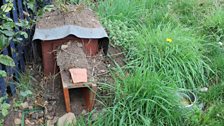 Hedgehog House