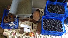 Anne Wilson's roadside damson stall