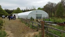 The salmon hatchery