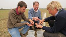 Dr Tom Sizmur (Rothamsted Research), Prof Karl Ritz (Cranfield University) and reporter Dylan Winter