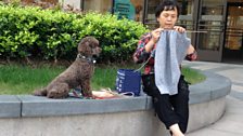 Knitter in Shanghai