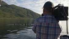 Filming Killer Whales