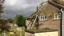 Storm damage in Bulford