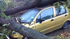 Storm damage in Salisbury