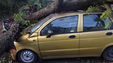 Storm damage in Salisbury