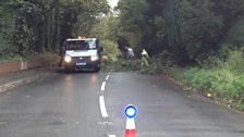 Storm damage in south Wiltshire