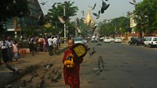 Monk with birds in Rangoon