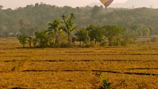 Balloon over fields