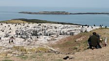 Filming on the Farne Islands