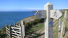 Pembrokeshire coastal path