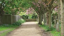 The path through the churchyard of St Peter & St Paul Aldeburgh Parish Church