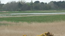 In Autumn these marshes can be wild places