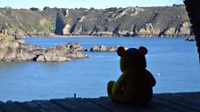 Pudsey Bear enjoying the view