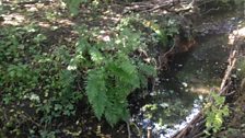 River bank that shows traces of a ‘burnt mound’