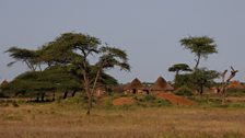 Borana village on the plains