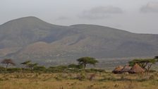 Pastoralists huts and plains