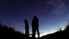 The Evening Flyover