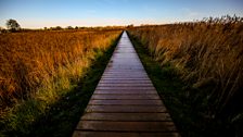 Snape Maltings