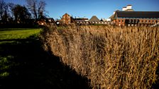 Snape Maltings