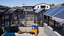 Pens and pools at The Marine Mammal Center in Sausalito, CA.