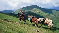 Tim travelled, in part, with only his dog and three horses for company