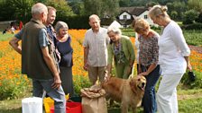 The Great British Garden Revival in pictures