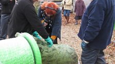 Netting the treasure at a Christmas tree farm in Great Melton