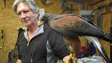 Phoenix Falconry