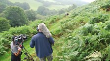 The steep bit – above Trefrifawr farm