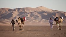 Ben Fogle (right) and James Cracknell (left) walking with their camels.