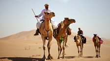 Ben Fogle and James Cracknell riding their camels.