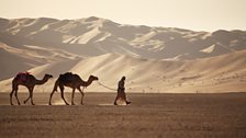 James Cracknell walking with camel in the Empty Quarter.