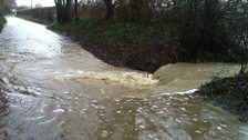 Stowell, between Oare and Pewsey