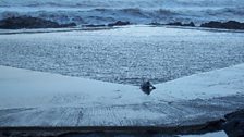 Seal pup spotted at Westward Ho!