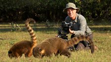 Cameraman Barrie Britton filming coatis in the Brazilian vazante