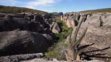 Serra da Capivara National Park, Brazil