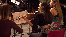 Members of the Zelkova Quartet