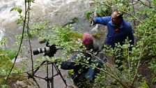 The river Cennen