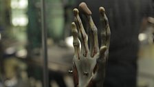 Anatomical model hand