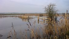 Flooding in Somerset