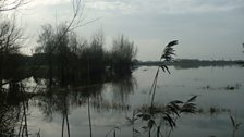 Parts of the Somerset Levels are cut off by floods each year