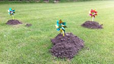 Trying to get rid of Moles in the garden with children's windmills