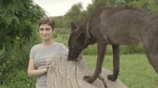 Dr. Kathryn Lord at Wolf Park.