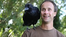 Bird handler Lloyd Buck and his loving partner - Brann, the raven.