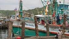 Thai fishing boats at the port of Samae San