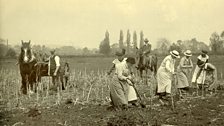 Britain experienced severe food shortages and many grand homes turned their gardens into allotments.