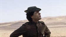 Mad Dog: Gaddafi's Secret World