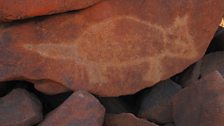 Ancient flat tailed kangaroo Aboriginal drawing from The Burrup Peninsular in The Pilbara region