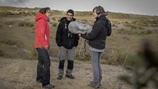 Living world recording at the Blakeney grey seal rookery