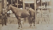 The real war horses. 165,000 horses were requisitioned for the war effort in 1914 alone. Many local horses were commandeered.